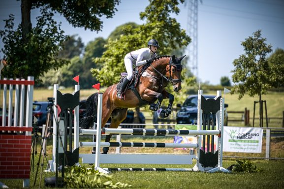 Royal Horse Broker Vermittlung von Pferden als Partner oder Investment, deren Ausbildung und Beritt sowie Züchter Management und Beratung Hervorragende Nachwuchsreiterin mit einem selbst gezüchteten jungen Springpferd in einer Springpferde A* Prüfung.