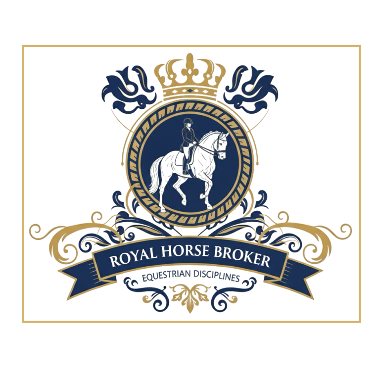 Performance Management & Trainingsoptimierung für Sportpferde | Royal Horse Broker Vermittlung von Sportpferden als Partner oder Investment, deren Ausbildung und Beritt sowie Züchter Management und Beratung Royal Horse Broker - Professionelles Performance Management - Vermittlung von Sportpferde Ausbildung und Beritt.