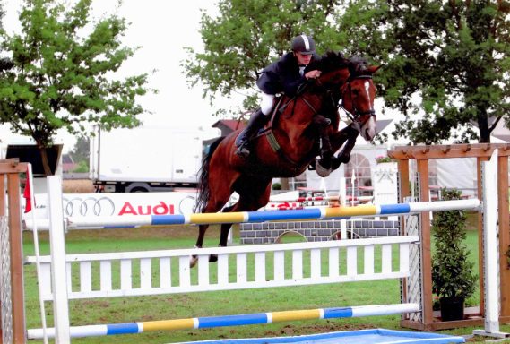 Royal Horse Broker Vermittlung von Pferden als Partner oder Investment, deren Ausbildung und Beritt sowie Züchter Management und Beratung Profispringreiter mit einem von Power und Technik strotzenden Springpferd über einen Oxer in einer Springprüfung von 1,30m Springen.