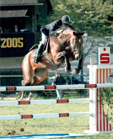 Royal Horse Broker Vermittlung von Pferden als Partner oder Investment, deren Ausbildung und Beritt sowie Züchter Management und Beratung Ein Profireiter mit einem in der Familie selbst aufgezogenen Springpferd, das sich mit sehr guter Manier über einem Sprung befindet.