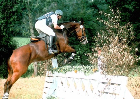 Royal Horse Broker Vermittlung von Pferden als Partner oder Investment, deren Ausbildung und Beritt sowie Züchter Management und Beratung Vielseitigkeitsreiter mit einem Vielseitigkeitspferd das gerade die Geländeprüfung absolviert.